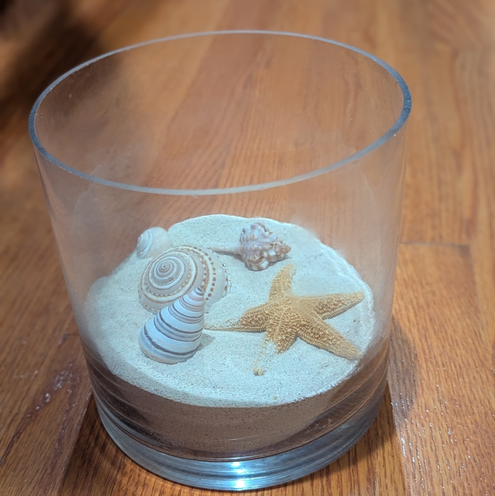 Hand Crafted Cream and Brown  Sea Shell Beach Decor Accents. Calm Restful Space